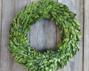 Preserved Boxwood Wreath, 14" Boxwood Wreath, Minimalist, Farmhouse Style Wreath