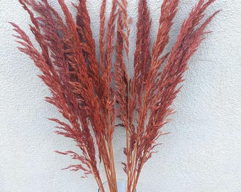 Tall Dried Reed Grasses for Fall Decorating: Rustic Farmhouse Decor