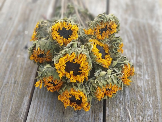 Dried Yellow Sunflowers: Small Fall Wedding Flowers, Golden Summer Sunflower Decor