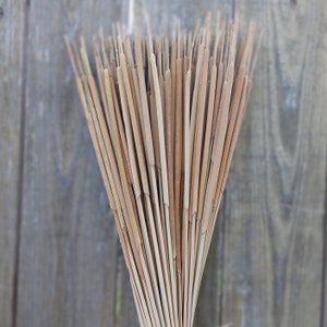 Dried Bunch of 100 Pencil Cattails Light Brown, Mini Cattails, Fall Decor, Farmhouse Decor, Large Bunch of 100