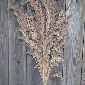 May include: A bundle of dried ornamental grass with a mix of beige and light purple hues. The stems are tied together at the base, creating a natural, rustic aesthetic. The background is a weathered wooden surface.