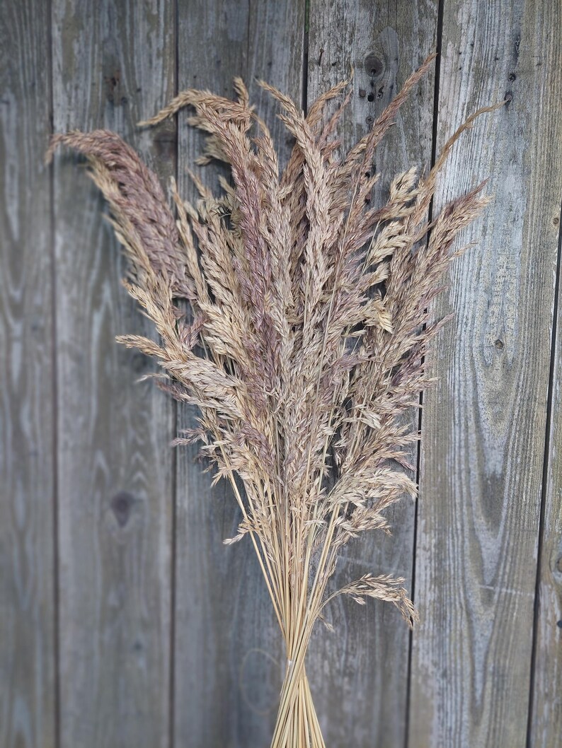 May include: A bundle of dried ornamental grass with a mix of beige and light purple hues. The stems are tied together at the base, creating a natural, rustic aesthetic. The background is a weathered wooden surface.