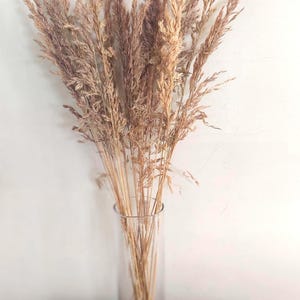 May include: A clear glass vase filled with dried ornamental grasses. The grasses are a mix of tan and brown hues, creating a natural, rustic aesthetic. The vase sits on a wooden surface against a white wall.