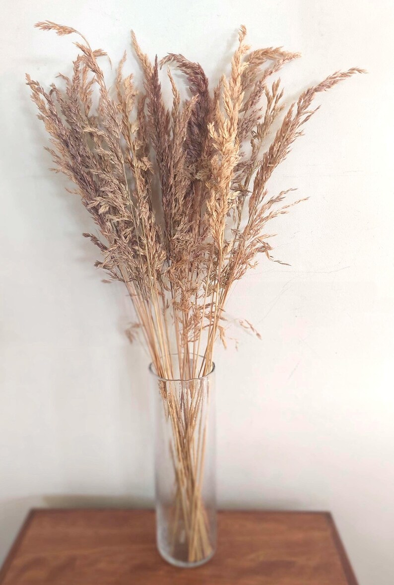 May include: A clear glass vase filled with dried ornamental grasses. The grasses are a mix of tan and brown hues, creating a natural, rustic aesthetic. The vase sits on a wooden surface against a white wall.