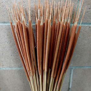 Dried Bunch of 100 Pencil Cattails, Mini Cattails, Fall Decor, Autmun Home Decor, Large Bunch of 100