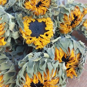 May include: A close-up of a bundle of dried sunflowers. The sunflowers have bright yellow petals and dark brown centers. The green leaves are dried and slightly curled. The flowers are arranged on a light brown wooden surface.