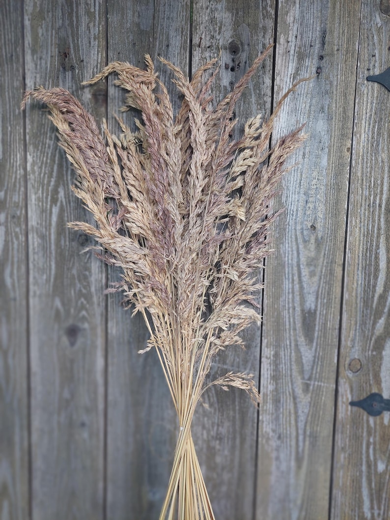May include: A bundle of dried ornamental grass with a natural, beige color and hints of purple. The stems are tied together with twine. The background is a weathered, gray wooden wall.
