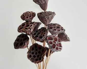 Dried Natural Lotus Pods - Small 2"-3" Head - 12 Stems