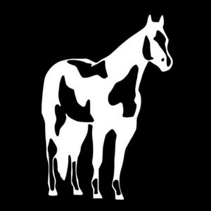 Paint Horse Vinyl Decal – Customizable Size & Color for Trucks, Horse Trailers, Tack Boxes, and More