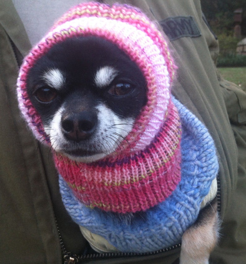 Dog Hat Winter Very Comfortable Knitting Pattern PDF XSS Etsy