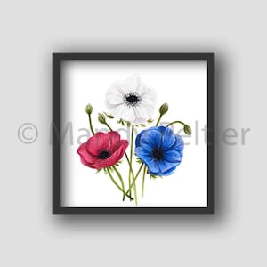 Digital Download - Watercolor Anemones