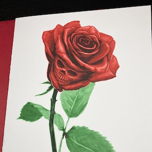 Rosetta - Cartão Ilustrado 5x7 + Envelope