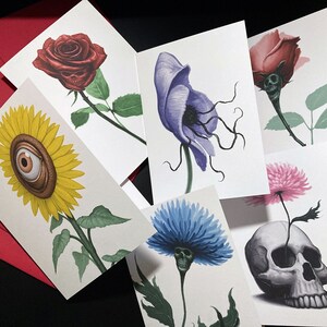 Flora Card Variety Pack - ZES 5x7 geïllustreerde kaarten + enveloppen