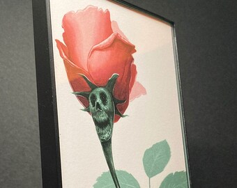 Rosen - 4x6 Framed Print
