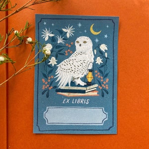 Blue bookplate featuring a snowy white owl sitting on a stack of books with an oil lamp, surrounded by white flowers, a moon and orange berries.