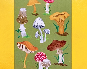 Mushrooms postcard