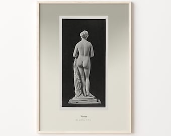 Venus Goddess Of Love Art Print Venus Sculpture Roman Mythology Wall Art Aphrodite Classic Myths Artwork Statue Vintage Photo Poster Print