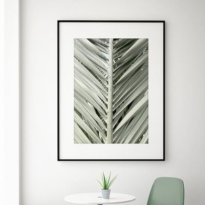 Palm Leaf, Photographic Print, Palm Detail, Botanic Wall Art, Tropical Art, Palms Poster, Palm Closeup Print, Palm Picture Print, Wall Decor