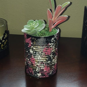 Sprightly Succulent