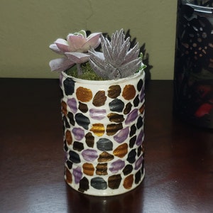 Sprightly Succulent