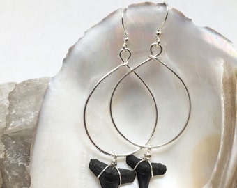 Bite-Back Hoops - Fossilized Shark Teeth Earrings - Natural Fossils - Silver-plated wire - Prehistoric  Beauty