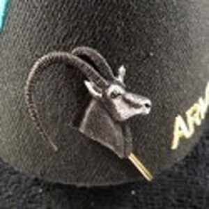 Puede incluir: Gorra de béisbol negra con un logotipo bordado en oro de una cabra de montaña con una inscripción en oro "ARMADILLO" en el lateral.