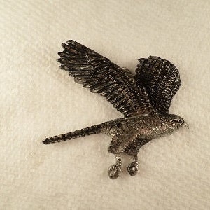 Goshawk ..New  &quot;  Hunter&quot;