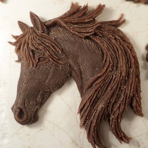 New Horse Head...{  Majestic  }