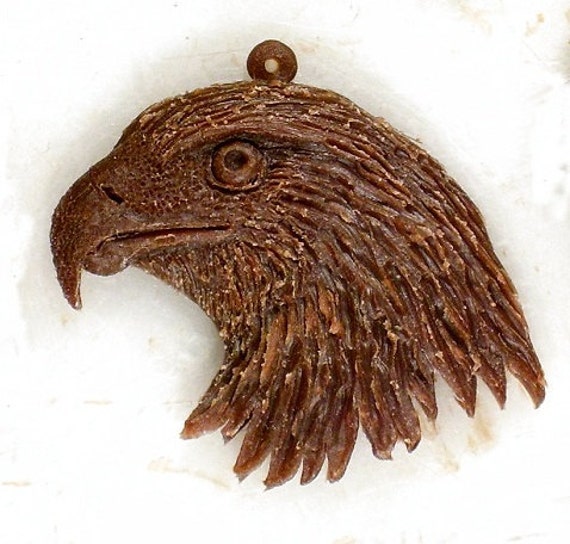 Golden Eagle Head New Eagle Eye