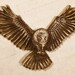 see more listings in the Bird of Prey,Eagles/owl  section