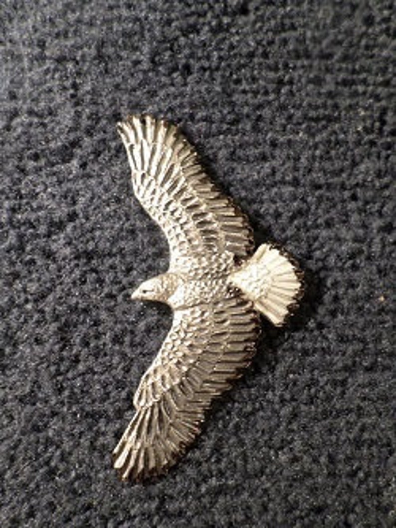 New White Tail Hawk pendant image 2