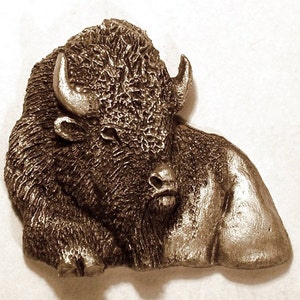 New Bison Design Old Bull image 1