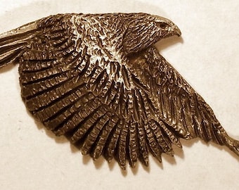 New Design...Red Tail Hawk