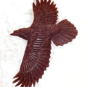 New Raven { Spirit Guide }