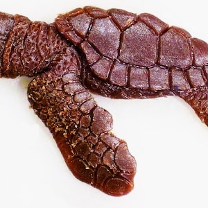 Puede incluir: Una figurita de tortuga marina de chocolate marrón con texturas detalladas de caparazón y aletas.