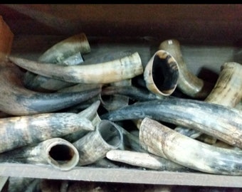 Raw cow horns