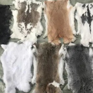 Extra Large Rex Rabbit Pelt, Soft Tanned Hide