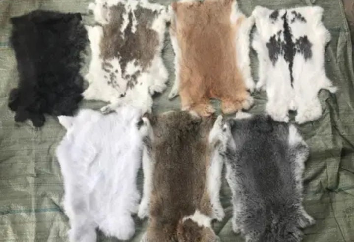 Fawn Rabbit Fur Pelt, Genuine Rabbit Fur, Ethically Sourced Natural Fur Hide,  Ginger Rabbit Pelt, Caramel Rabbit Fur, Golden Wheat 