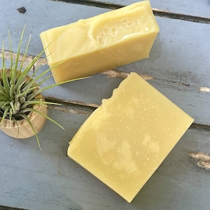 May include: Two rectangular bars of pale yellow soap with a smooth, semi-translucent texture and subtle white flecks throughout. A small green air plant sits in a light-colored wooden container next to the soap bars on a weathered blue surface.