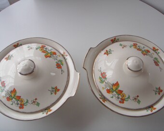 English Alfred Meakin Ironstone Tea Pot Set Etsy