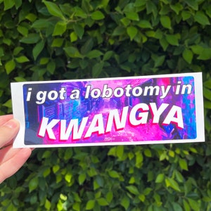 i got a lobotomy in KWANGYA aespa (bumper stickers)