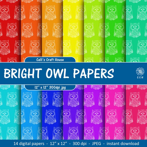 bright owl digital papers 14 bright rainbow backgrounds owl patterned papers commercial use instant download rainbow backrounds