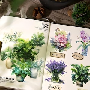 30 matowych naklejek PET. Orchidea. Rośliny domowe. Sukulent. Lawenda.