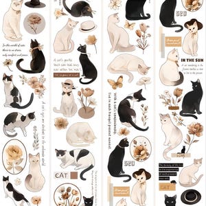 Cartoon. Anime. PET tape. Cat . Sakura panda. White rabbit from Alice in Wonderland. Cat