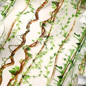 May include: Decorative washi tape featuring a repeating pattern of watercolor vines with green leaves and brown stems. The tape has a transparent background, allowing the design to be layered over other surfaces.