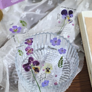 1 set, 5 strips, PET stickers. Handwritten words. Dried Flowers. Pansies, poppy, field flowers