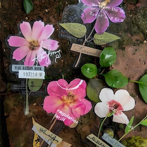 10 adesivi grandi, secchi, fiori pressati. Foglie. Piante. Parole. Scrapbooking