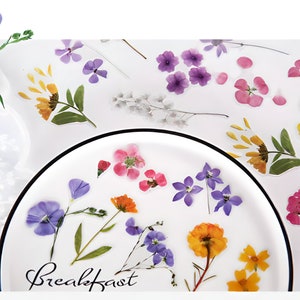 40, haute définition, autocollants PET. Fleurs des champs. Wildflowers. Source. Déco