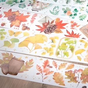 Ruban adhésif Washi. L'automne. Automne. Feuilles. Plantes. Érable. Ginkgo. Pomme de pin. Rétro. Jours fériés