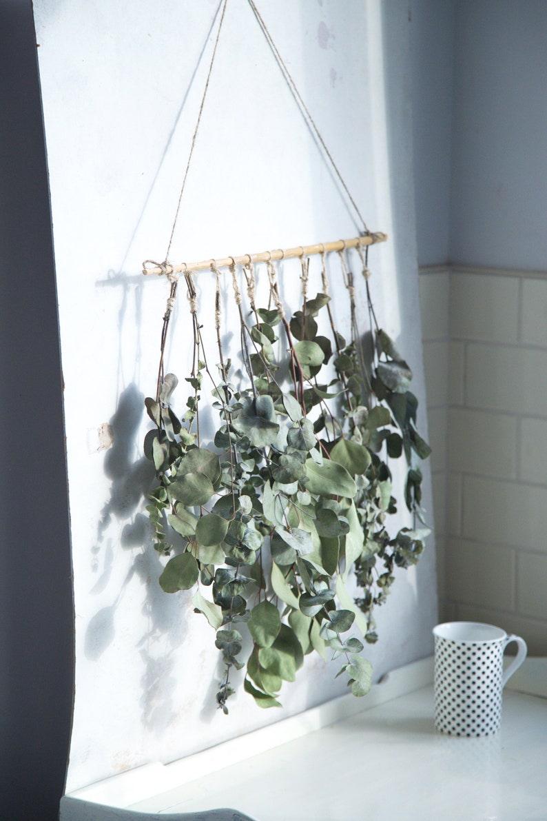 Eucalyptus Wall Hanging in UK Natural Dried Flowers Decor Etsy